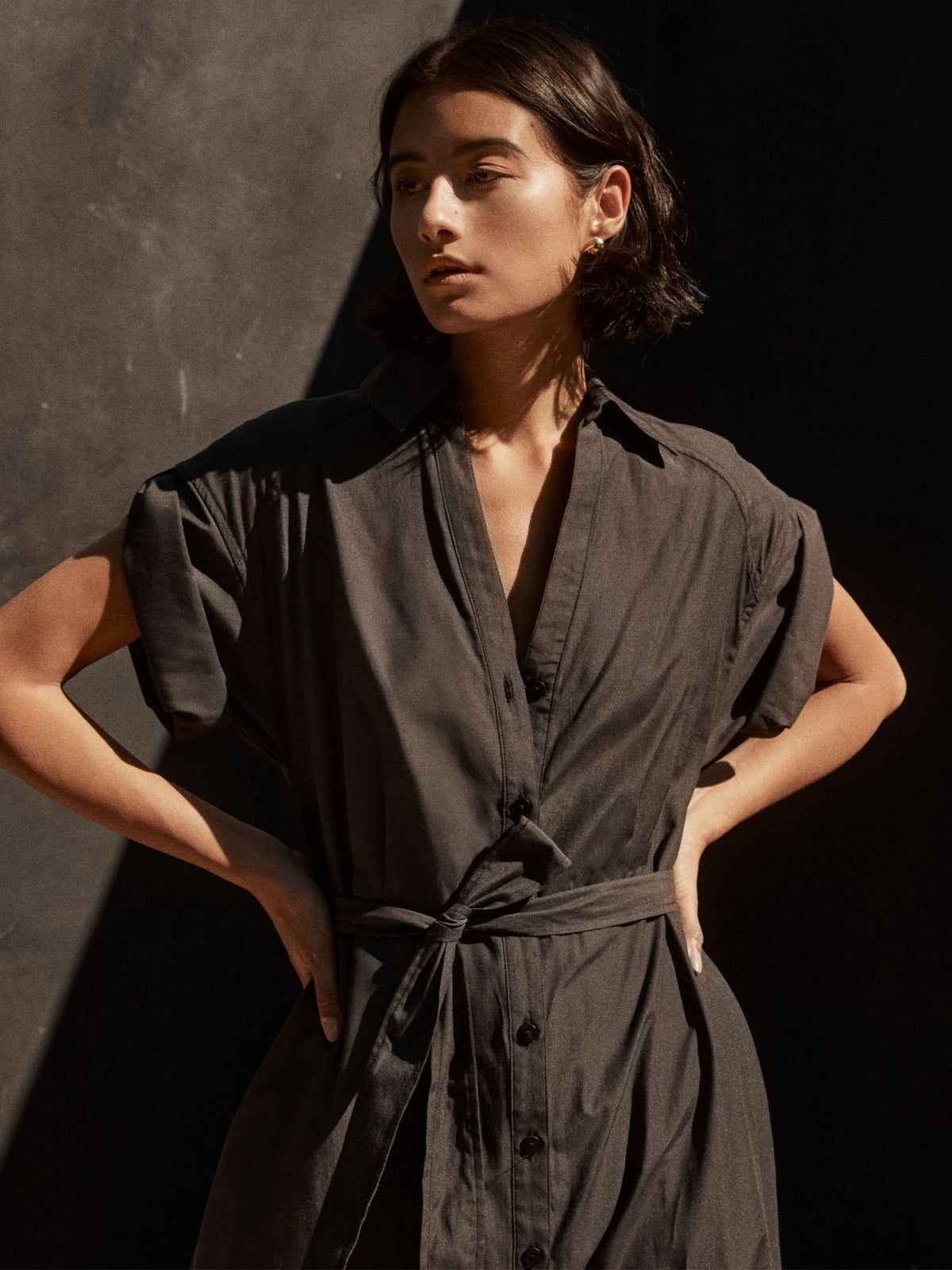 The fia belted dress