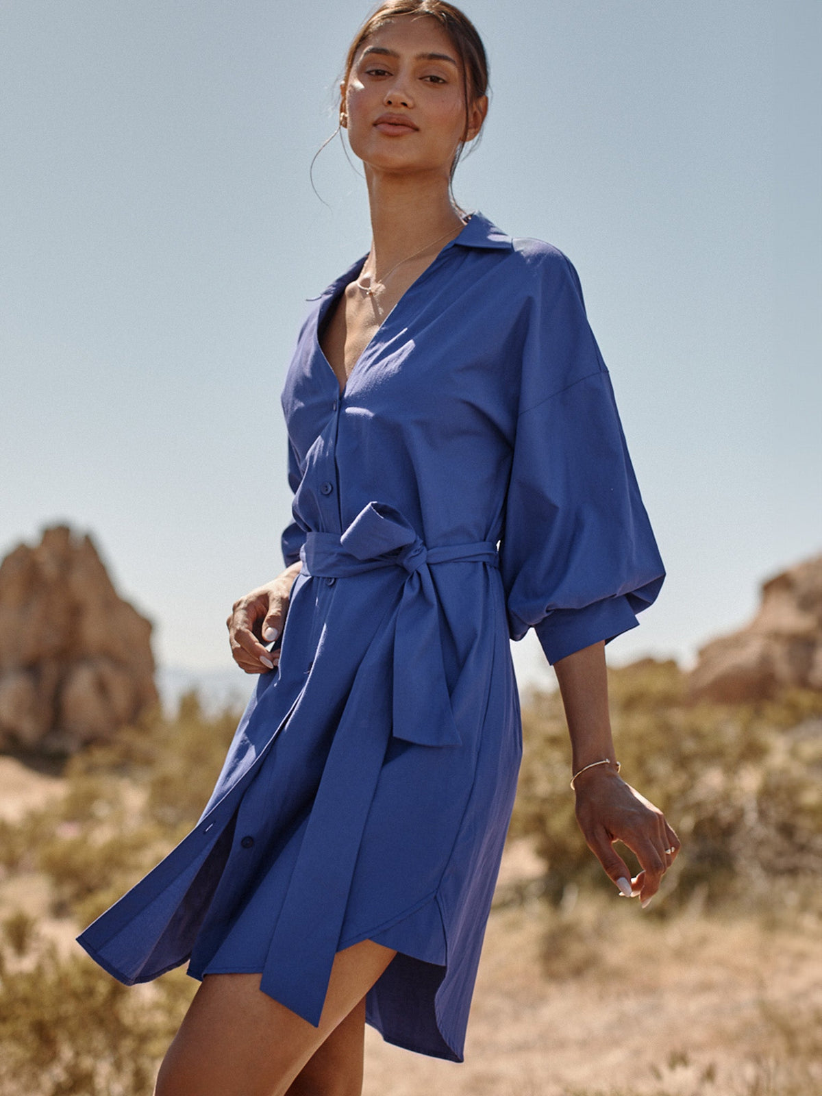 The kate belted dress